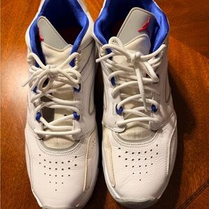 Air Jordan Point Lane True Blue White Sneaker Shoe CZ4166-101